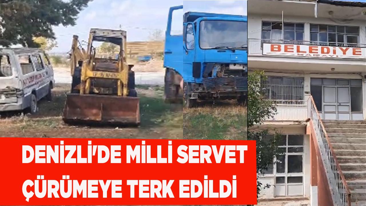Denizli&#039;de Milli servet çürümeye terk edildi
