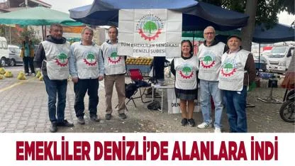 EMEKLİLER DENİZLİ’DE ALANLARA İNDİ
