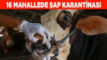 ÇAMELİ'DE 16 MAHALLE KARANTİNADA