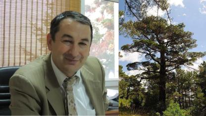 CANTÜRK, TÜRKİYE’NİN SİGORTASI: KIZILÇAM ORMANLARI