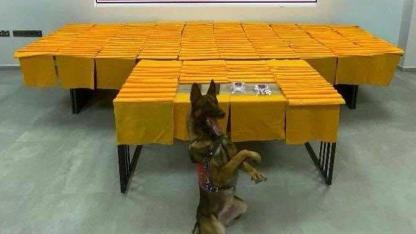 Denizli'de 2 milyon kullanımlık uyuşturucu ele geçirildi