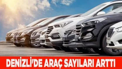 Denizli'de araç sayıları arttı