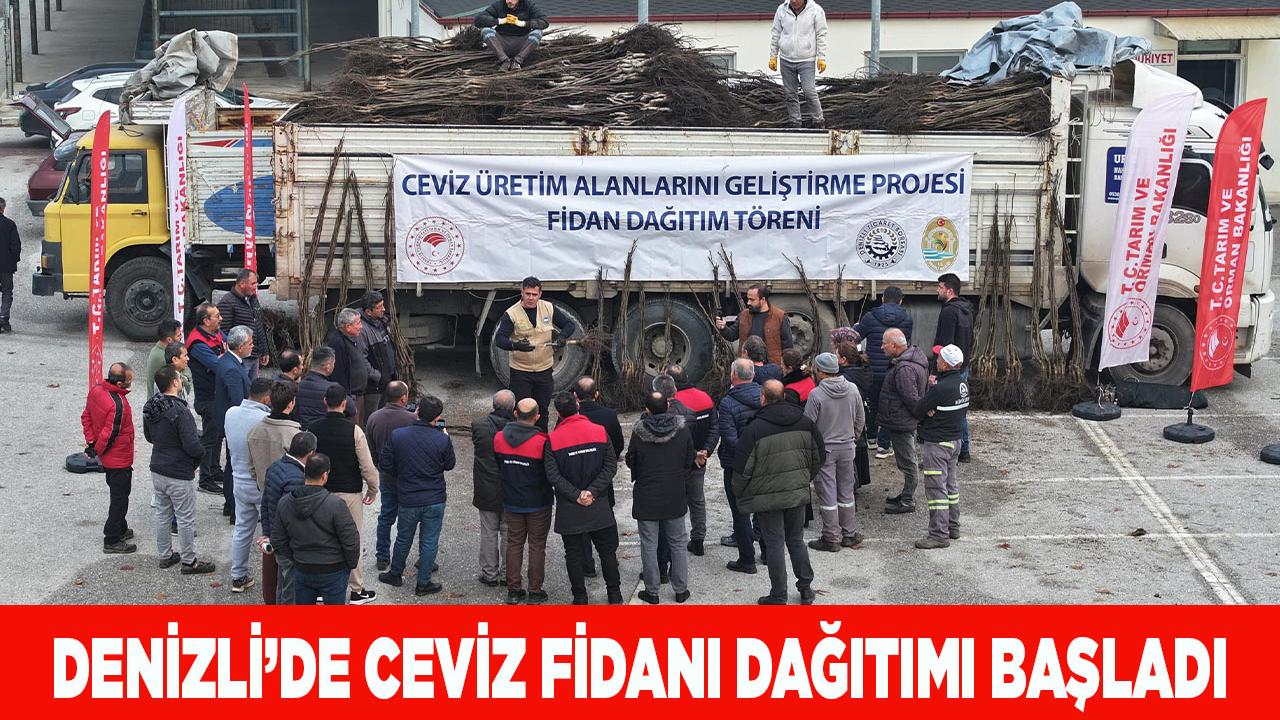 Denizli’de Ceviz Fidanı Dağıtımı Başladı