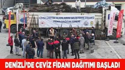 Denizli’de Ceviz Fidanı Dağıtımı Başladı