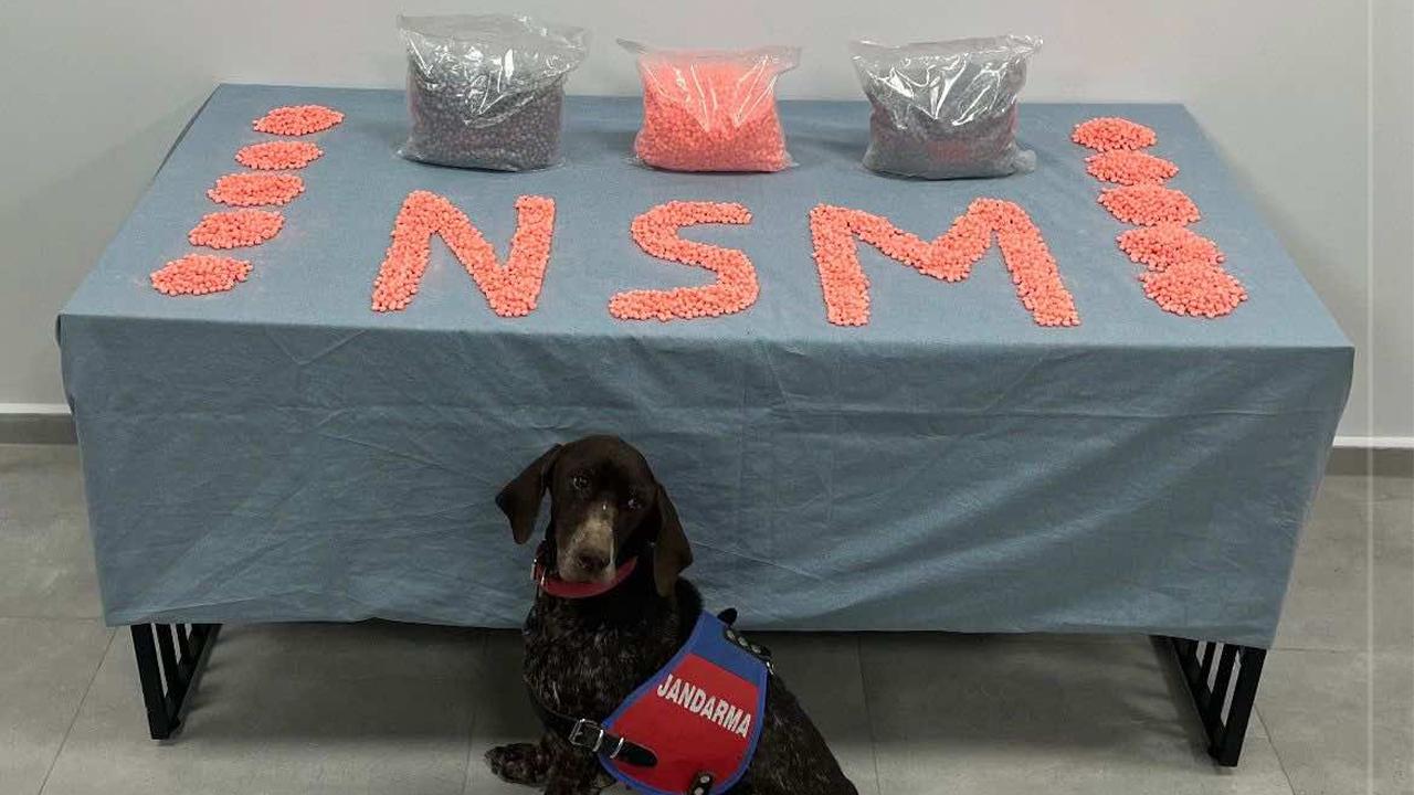 Denizli’de zehir tacirlerine göz açtırılmıyor