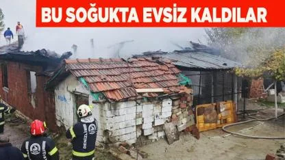 Soğukta evsiz kaldılar