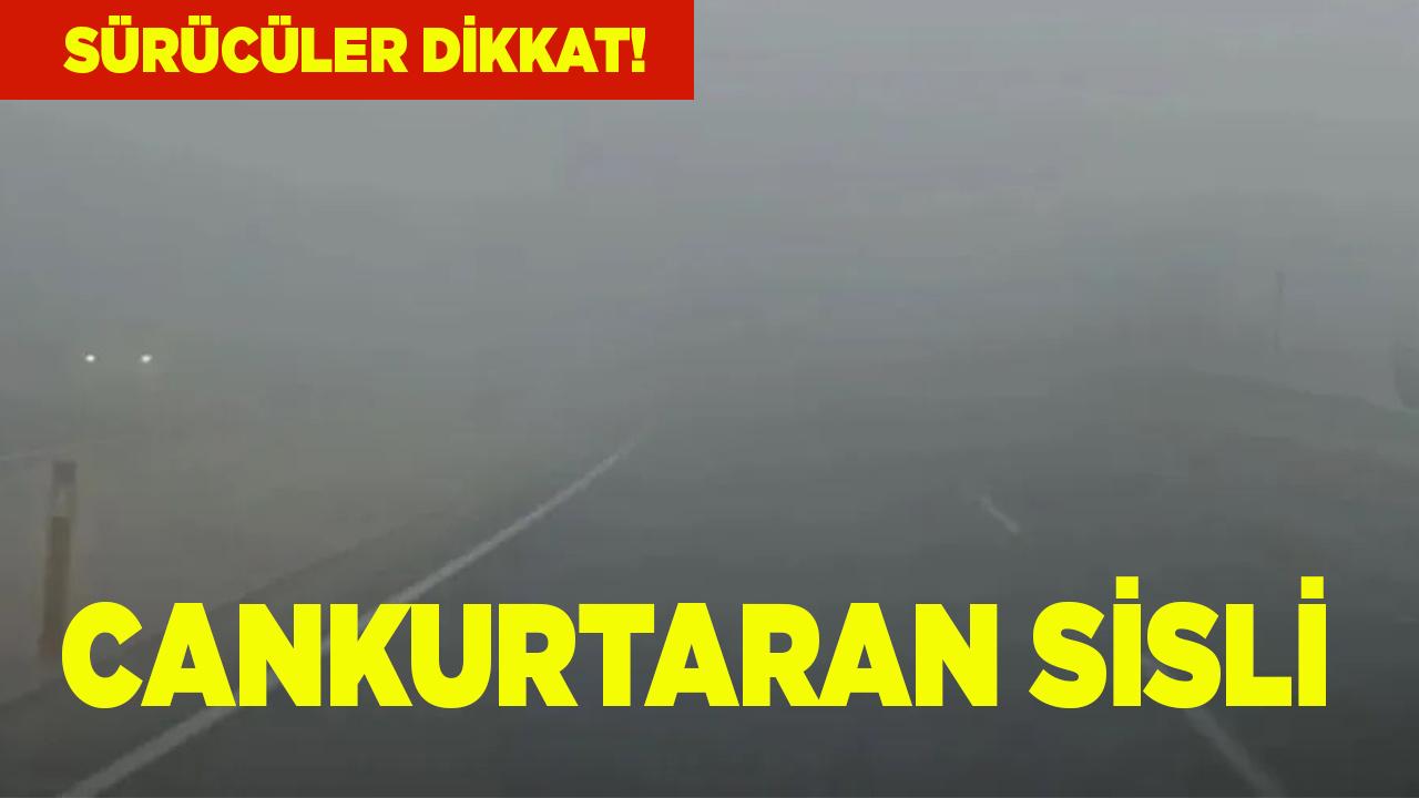 Cankurtaran’da Sis Tehlikesi