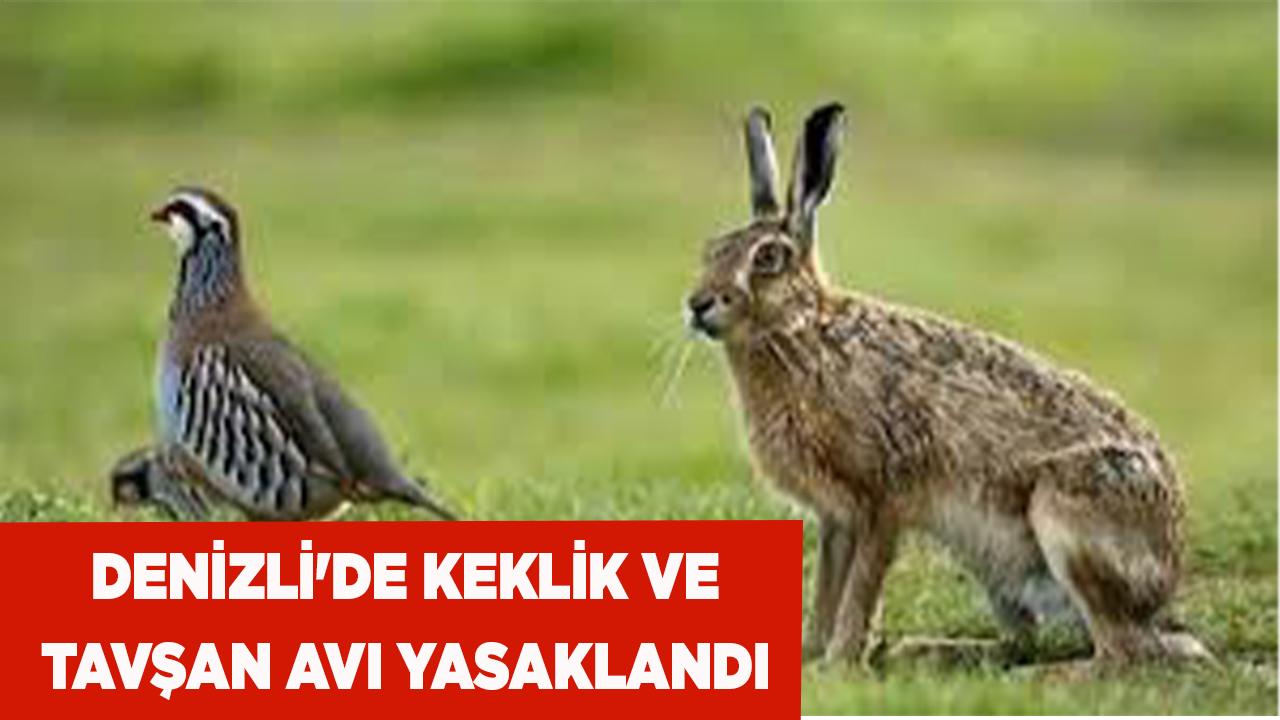 Denizli'de keklik ve tavşan avı yasaklandı