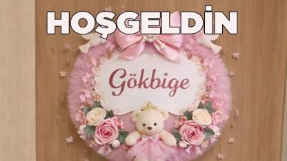 HOŞ GELDİN GÖKBİGE