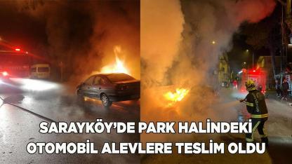 Sarayköy’de otomobil alevlere teslim oldu