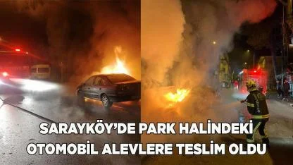 Sarayköy’de otomobil alevlere teslim oldu