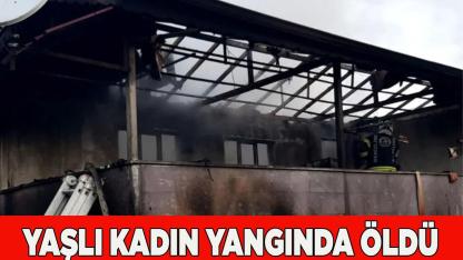 Yaşlı kadın yangında öldü