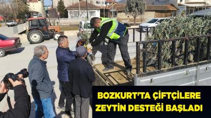 Bozkurt'ta Çiftçilere Zeytin Desteği Başladı