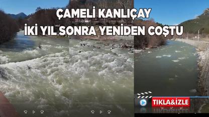 Çameli Dereleri Bereketle Coştu Geçişler Zorlaştı
