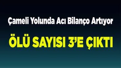 Çameli Yolunda Acı Bilanço Artıyor