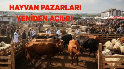 Denizli Hayvan Pazarları Kapılarını Açtı