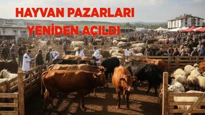Denizli Hayvan Pazarları Kapılarını Açtı