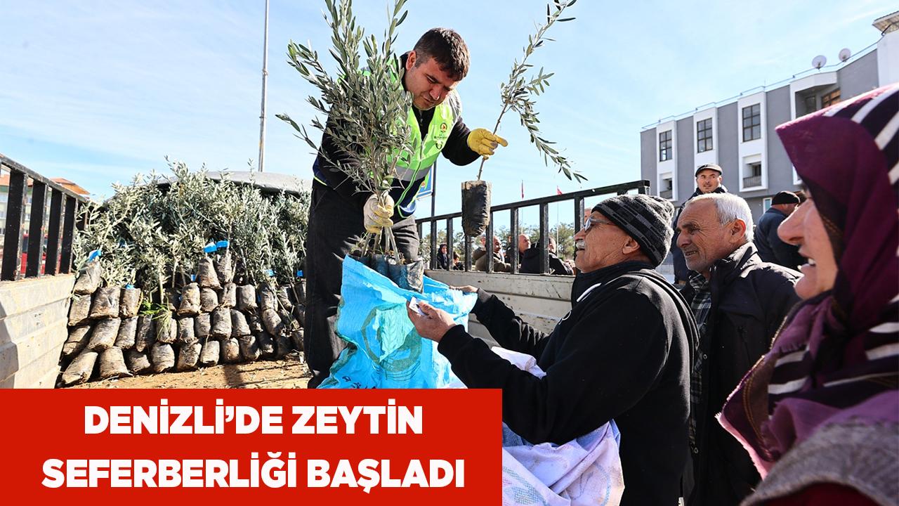 Denizli’de Zeytin Seferberliği Başladı