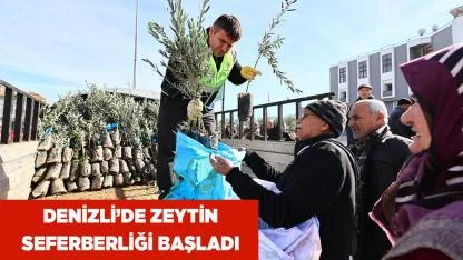 Denizli’de Zeytin Seferberliği Başladı
