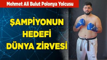Mehmet Ali Bulut Polonya Yolcusu