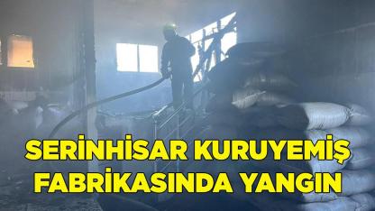 Serinhisar Kuruyemiş Fabrikasında Yangın