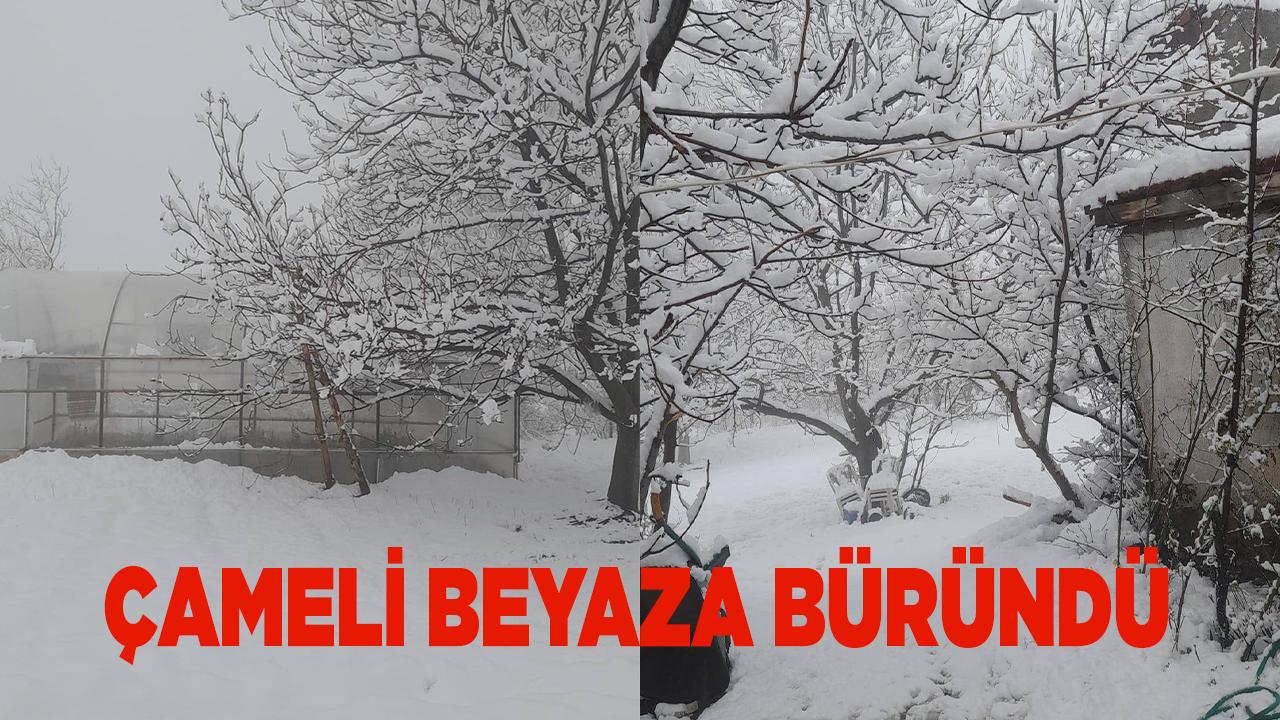 Çameli Beyaza Büründü Kar Kalınlığı Artıyor