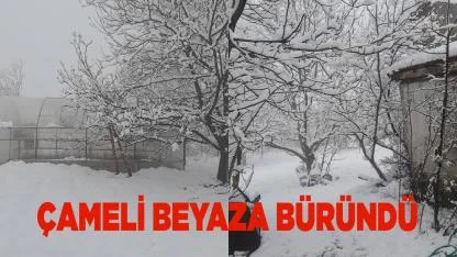 Çameli Beyaza Büründü Kar Kalınlığı Artıyor
