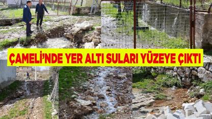 Çameli’nde Yer Altı Suları Yüzeye Çıktı