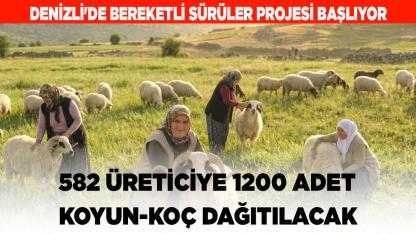 Denizli'de Bereketli Sürüler Projesi Başlıyor
