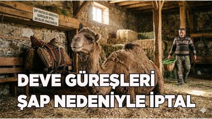 Develer Erken Tatile Çıktı