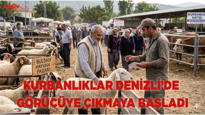 Kurbanlıklar Denizli’de Görücüye Çıkmaya Başladı