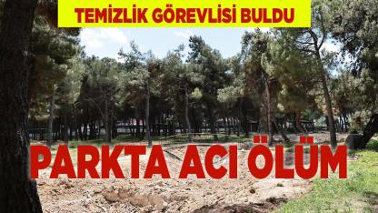 Denizli'de Parkta Acı Ölüm
