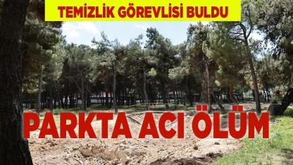 Denizli'de Parkta Acı Ölüm