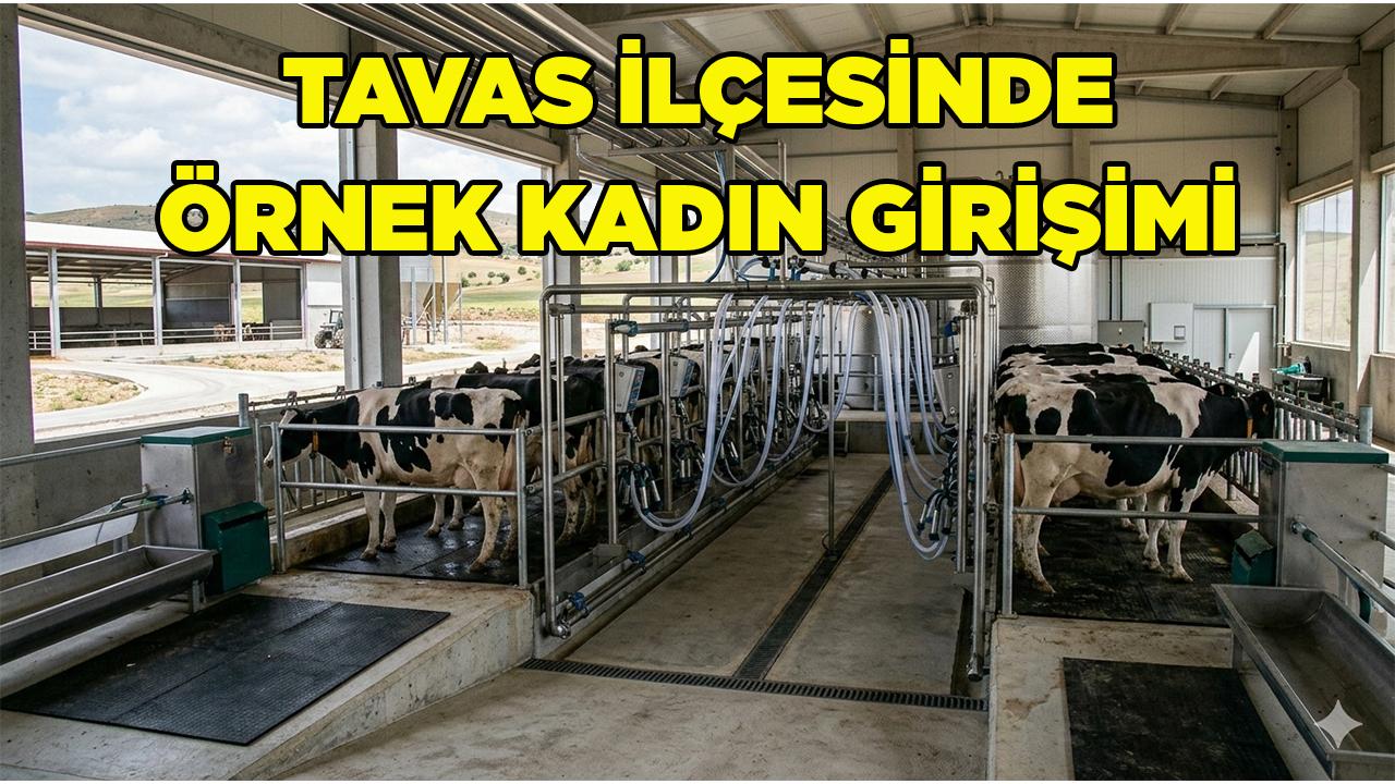 Tavas İlçesinde Örnek Kadın Girişimi