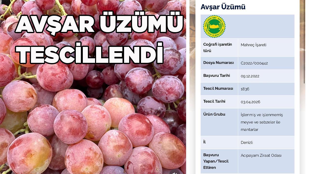Acıpayam Avşar Üzümü Tesciliyle Ata Mirası Taçlandı