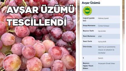 Acıpayam Avşar Üzümü Tesciliyle Ata Mirası Taçlandı