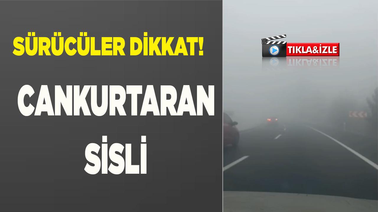 Cankurtaran’da Görüş Mesafesi Düştü Yolda Sis Var