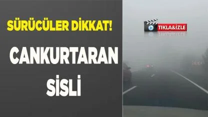 Cankurtaran’da Görüş Mesafesi Düştü Yolda Sis Var