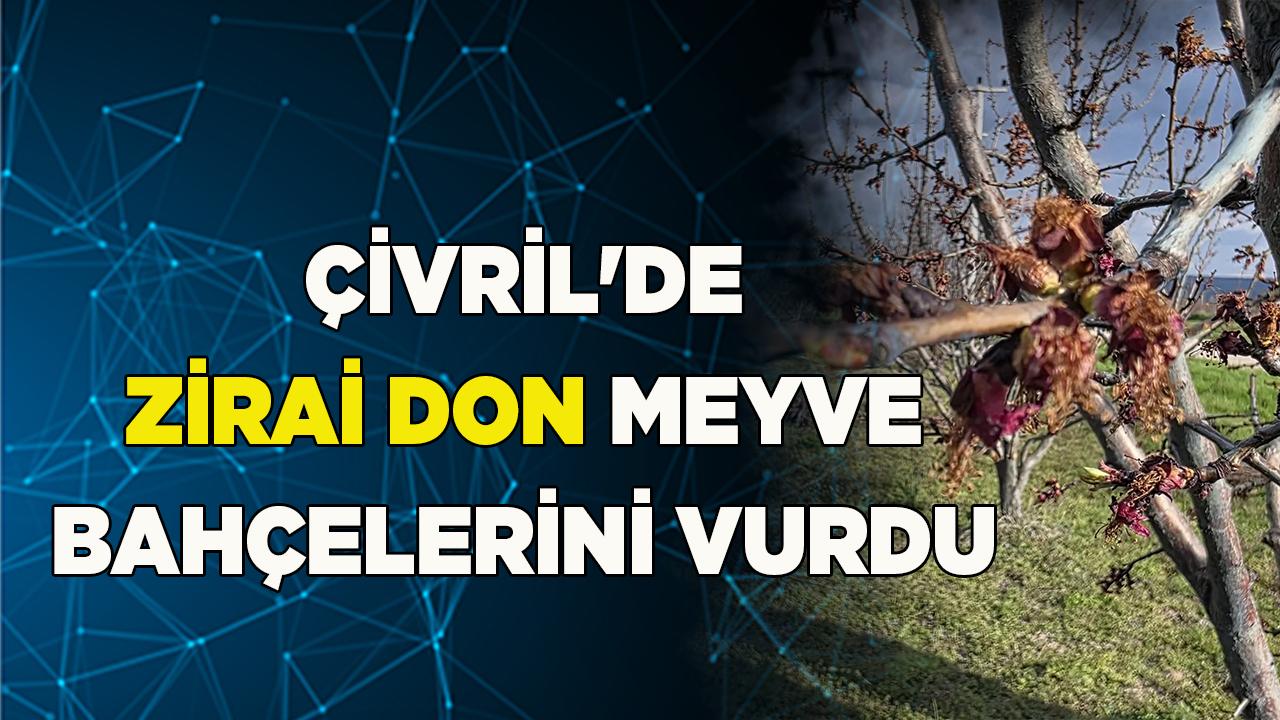 Çivril'de Zirai Don Meyve Bahçelerini Vurdu