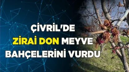 Çivril'de Zirai Don Meyve Bahçelerini Vurdu