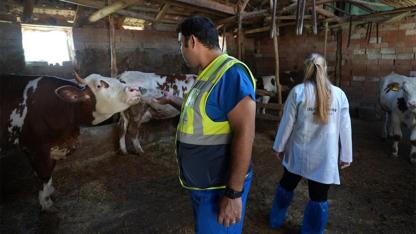 Denizli Büyükşehir’den üreticiye sahada destek