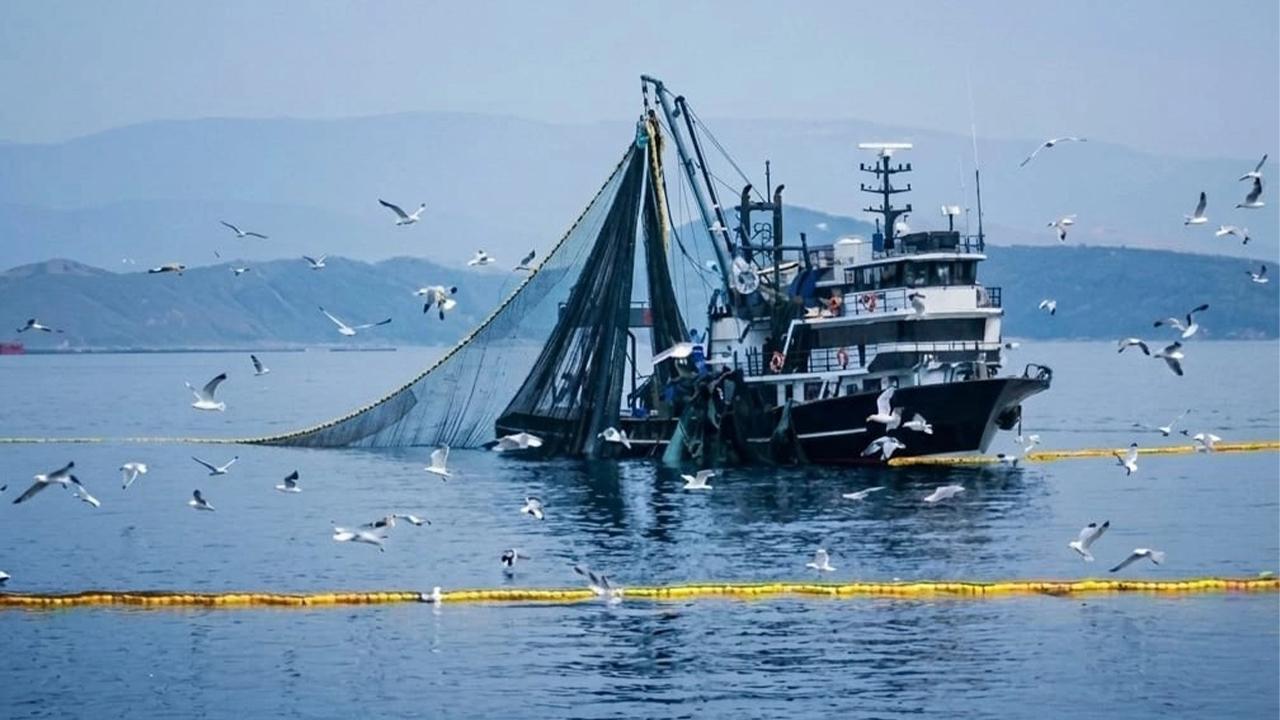 Denizli İç Suları ve Denizlerde Av Yasağı