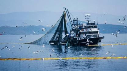 Denizli İç Suları ve Denizlerde Av Yasağı