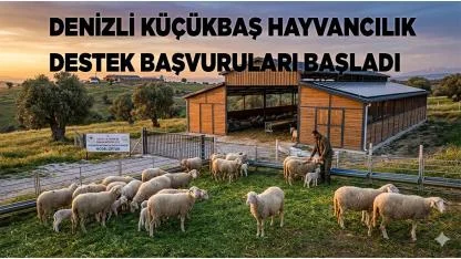 Denizli Küçükbaş Hayvancılık Destek Başvuruları Başladı