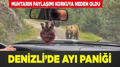 Denizli’de Ayı Paniği