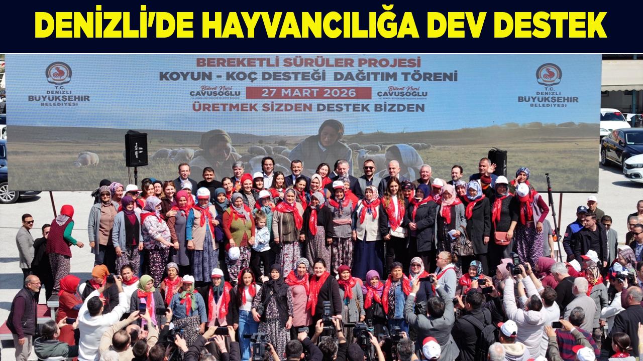 Denizli'de Hayvancılığa Dev Destek