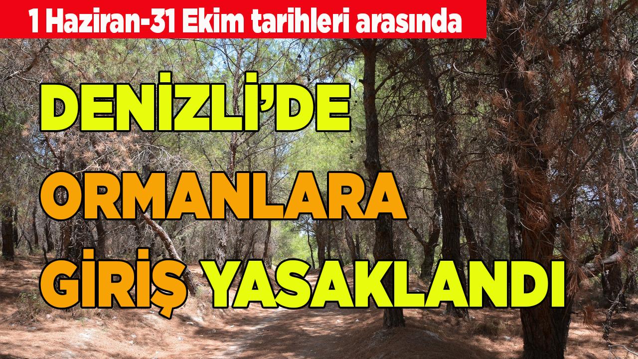 DENİZLİ’DE ORMANLARA GİRİŞ YASAKLANDI