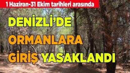 DENİZLİ’DE ORMANLARA GİRİŞ YASAKLANDI