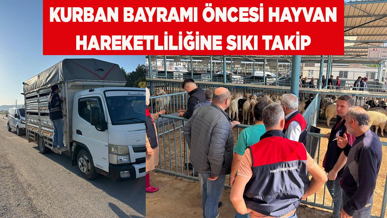 Kurban Bayramı Öncesi Hayvan Hareketliliğine Sıkı Takip