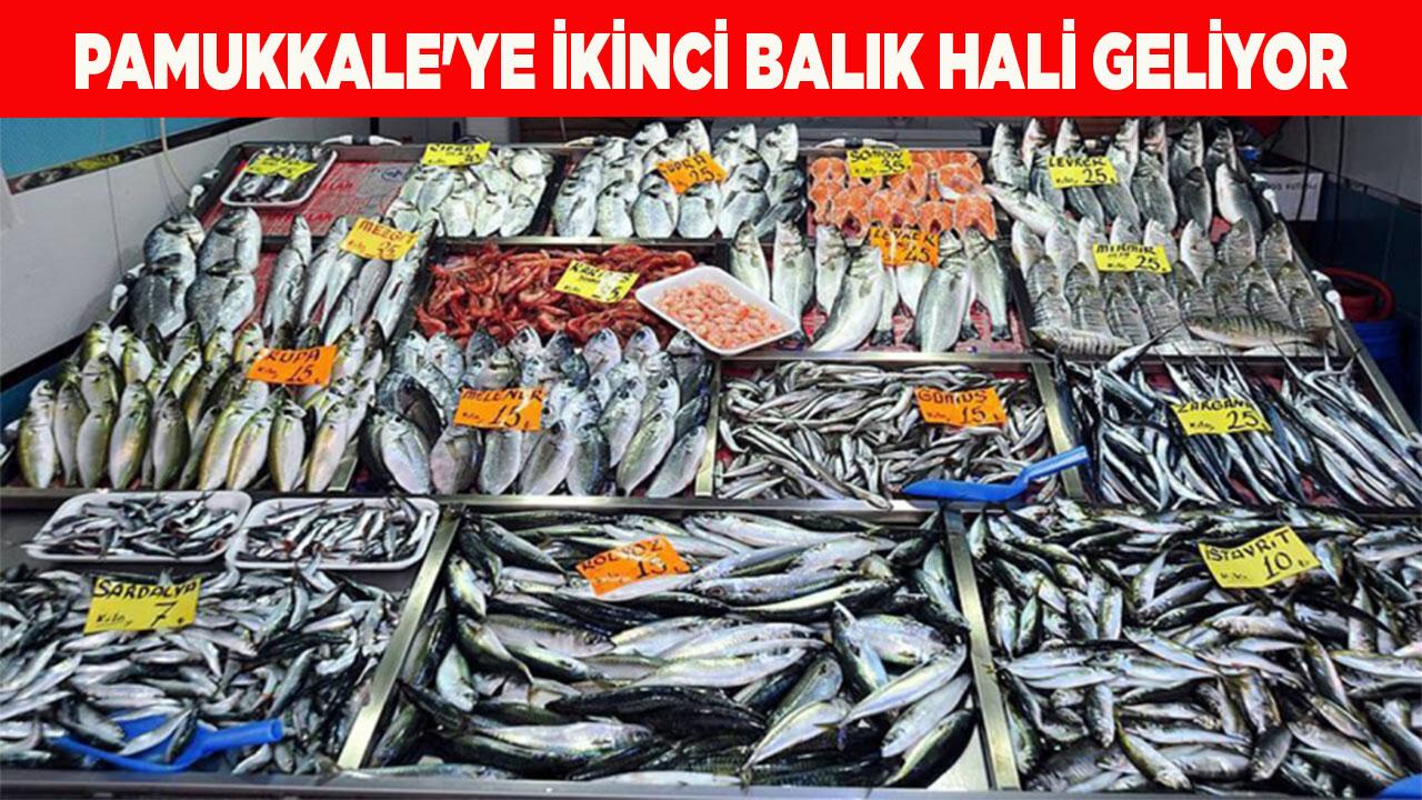 Pamukkale'ye İkinci Balık Hali Geliyor